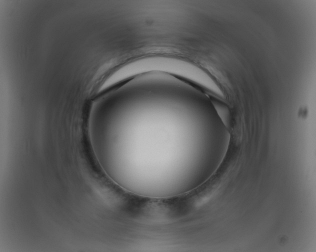 X0000092280207200709281252