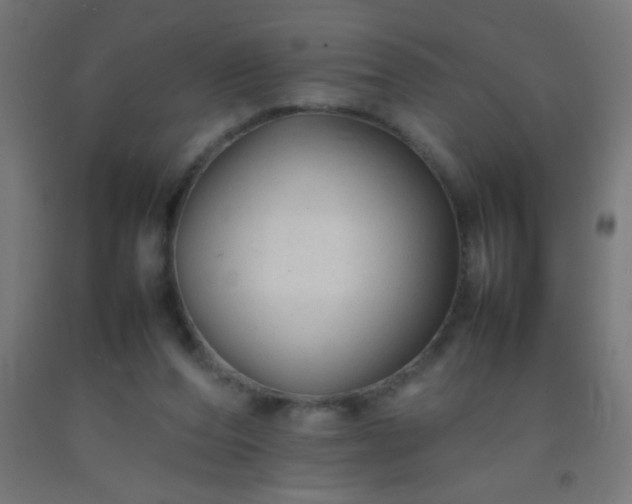 X0000092280208200709281252