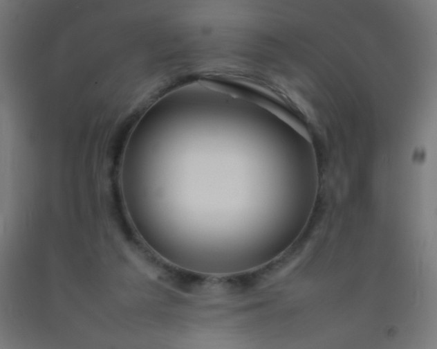 X0000092280209200709281252