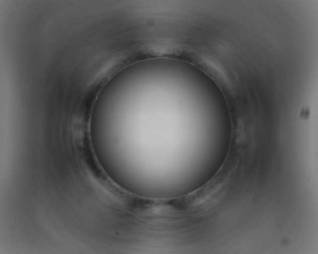 X0000092280210200709281252