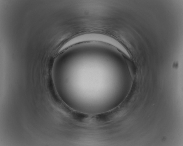 X0000092280211200709281252