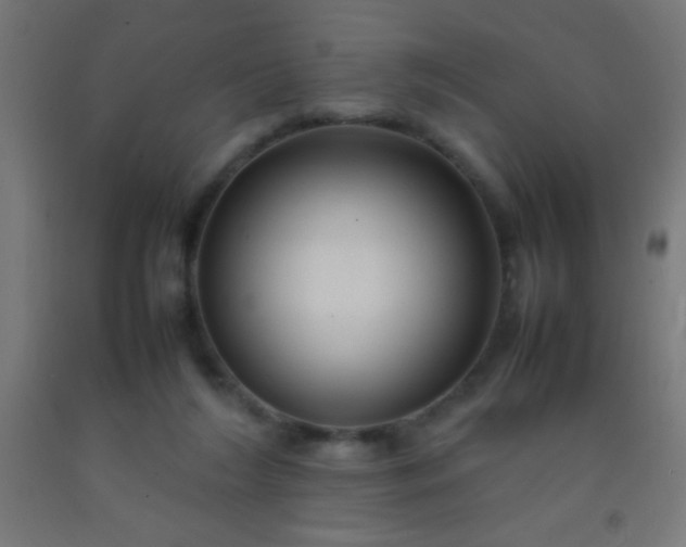 X0000092280212200709281252