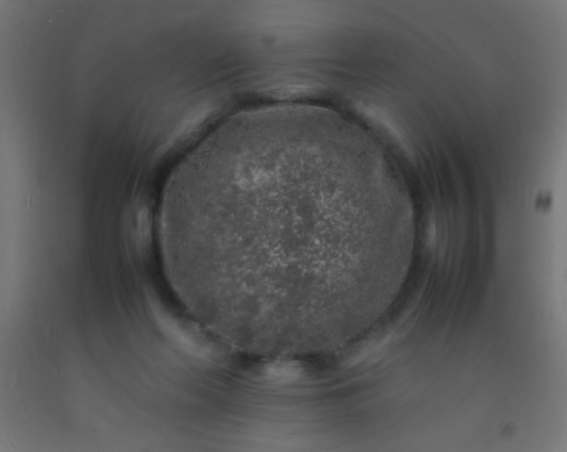 X0000092280214200709281252