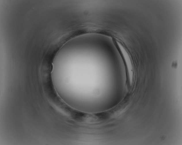 X0000092280215200709281252