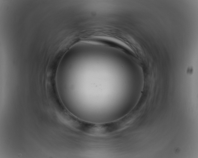 X0000092280217200709281252