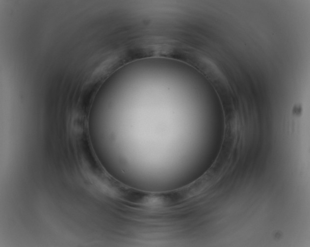 X0000092280218200709281252