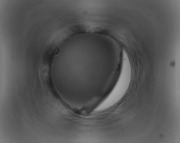 X0000092280219200709281252