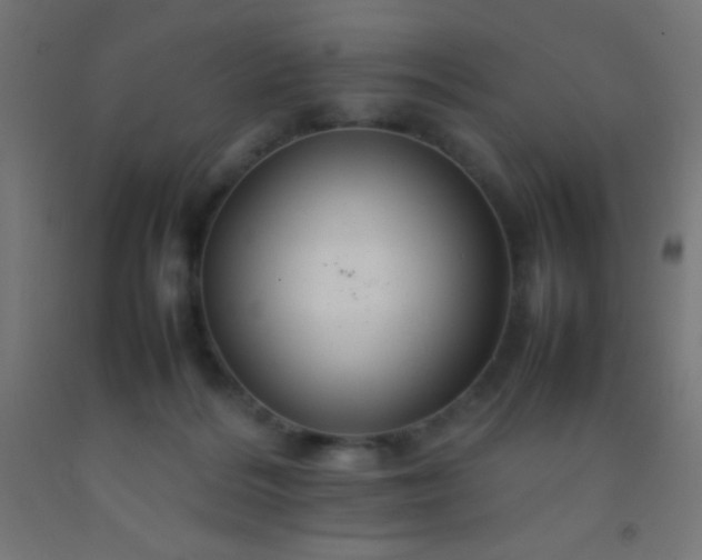 X0000092280220200709281252