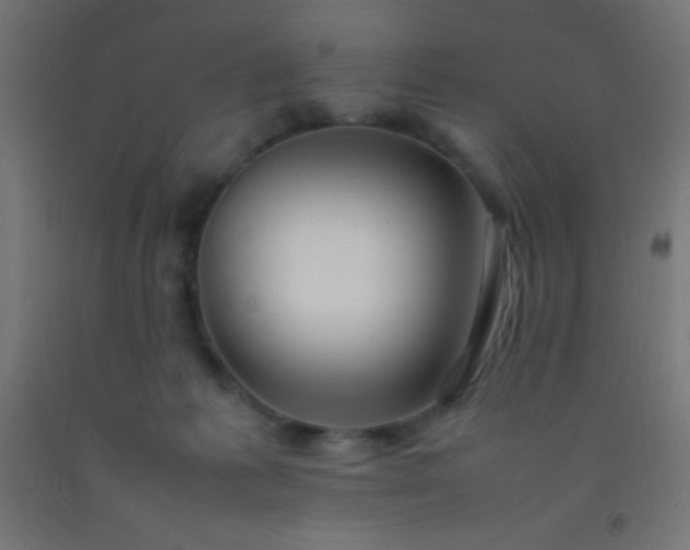 X0000092280221200709281252