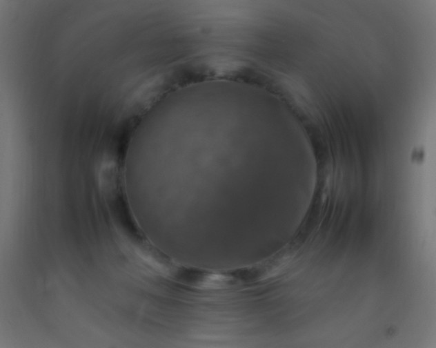 X0000092280222200709281252