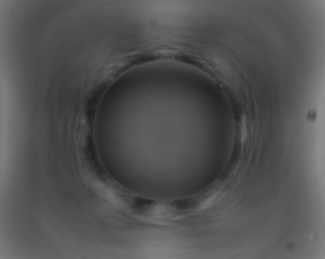 X0000092280223200709281252