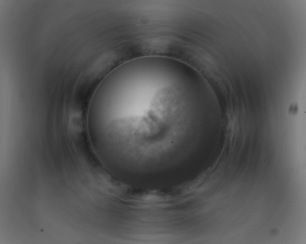 X0000092280224200709281252