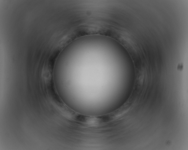 X0000092280226200709281252