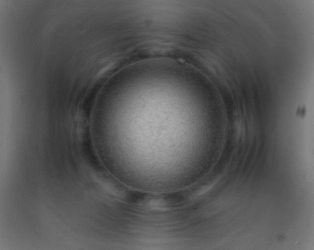 X0000092280228200709281252