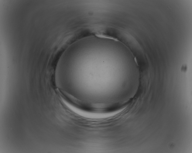 X0000092280229200709281252