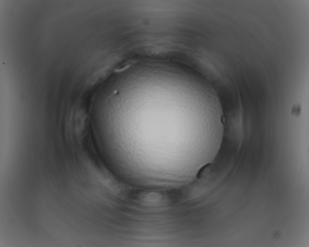 X0000092280230200709281252