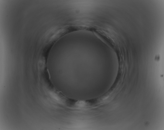 X0000092280231200709281252