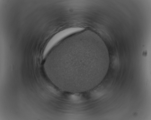 X0000092280232200709281252