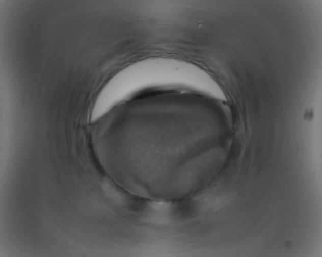 X0000092280233200709281252