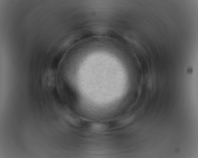 X0000092280234200709281252