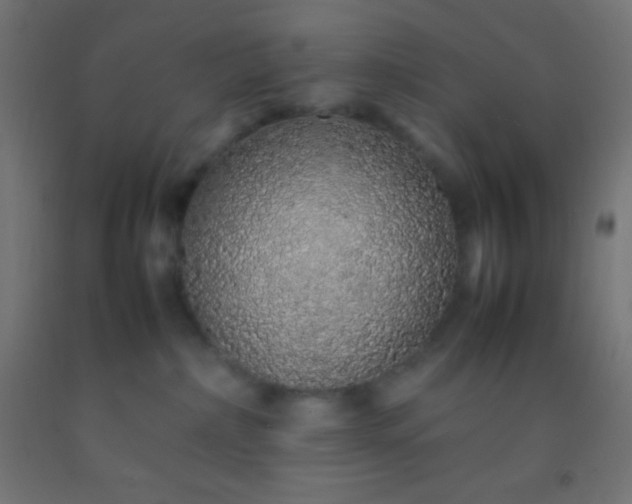 X0000092280236200709281252