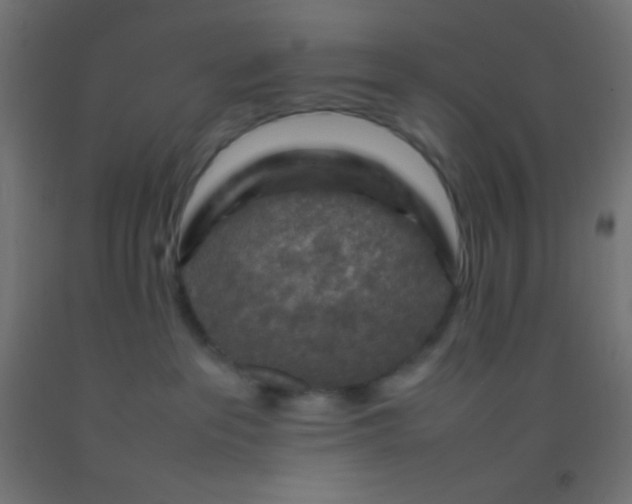 X0000092280237200709281252