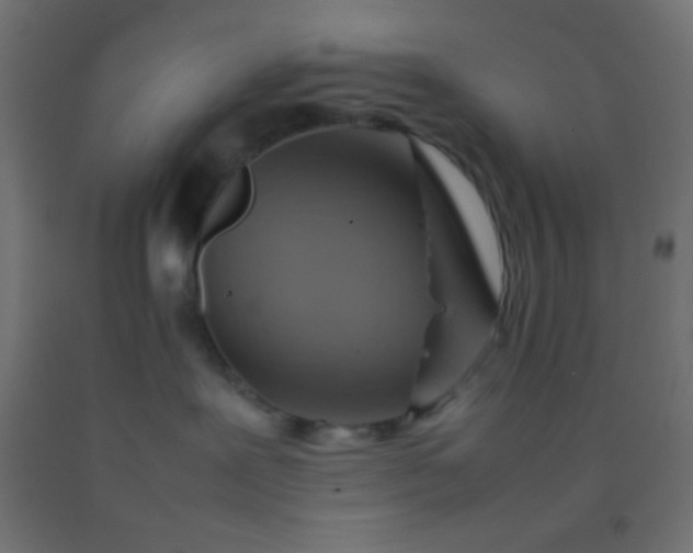 X0000092280239200709281252