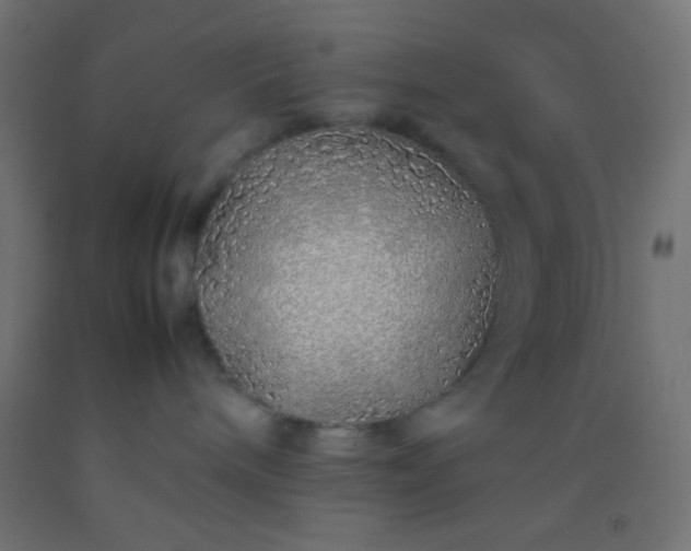 X0000092280240200709281252