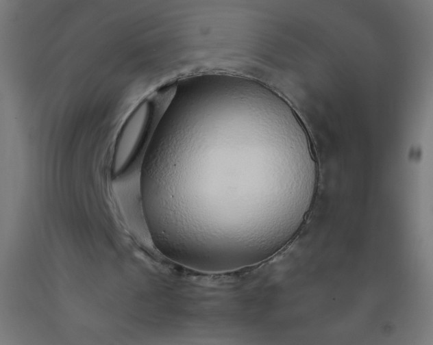 X0000092280241200709281251