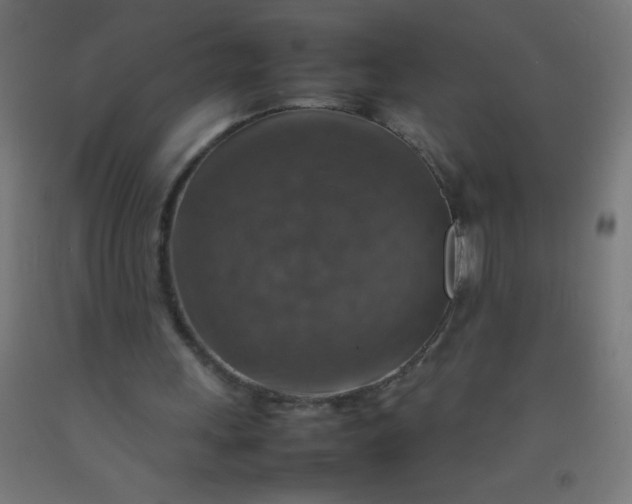 X0000092280243200709281251