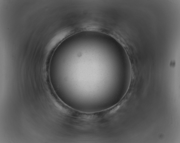 X0000092280245200709281251