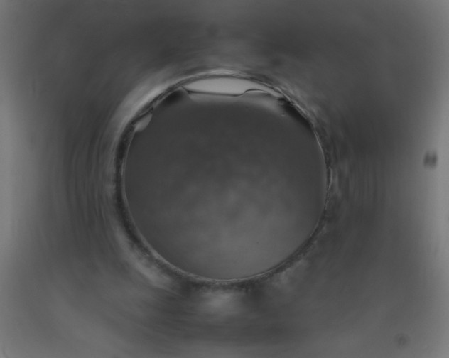 X0000092280247200709281251