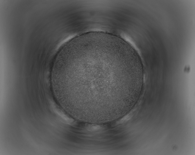 X0000092280249200709281251