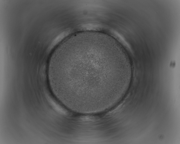 X0000092280250200709281251