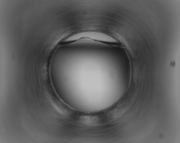 X0000092280251200709281251