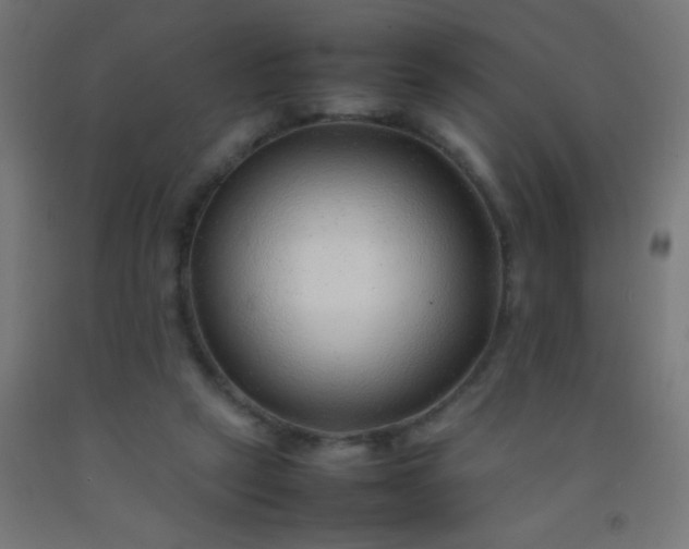 X0000092280257200709281251