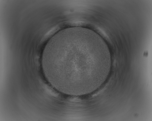 X0000092280258200709281251