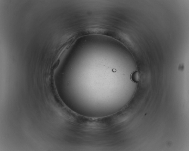 X0000092280259200709281251