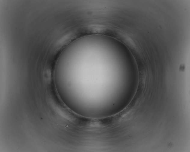 X0000092280262200709281251