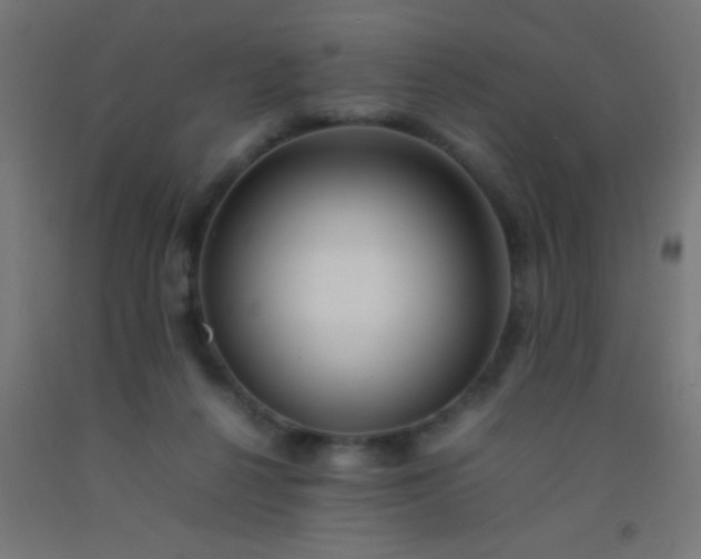 X0000092280264200709281251