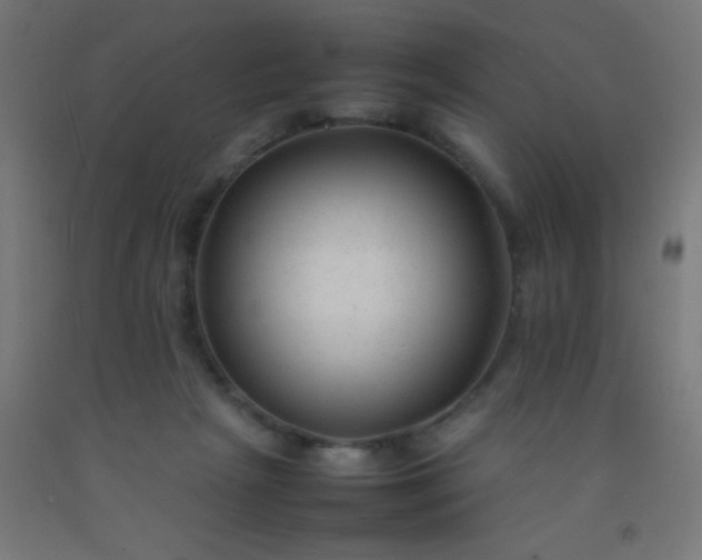 X0000092280265200709281251