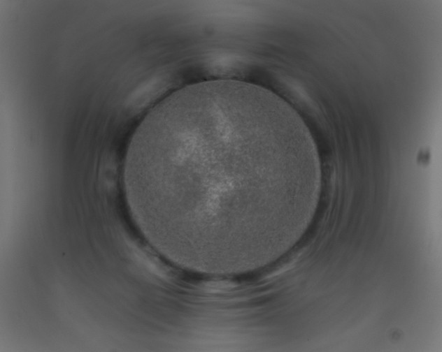 X0000092280266200709281251