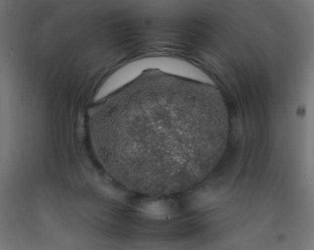 X0000092280267200709281251