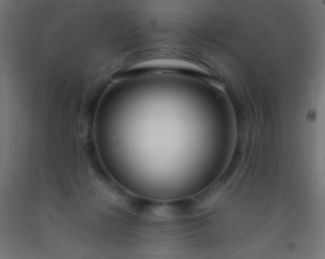 X0000092280268200709281251