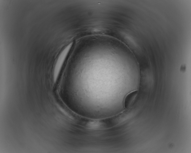 X0000092280269200709281251