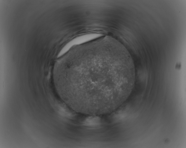 X0000092280271200709281251