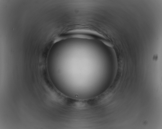 X0000092280272200709281251