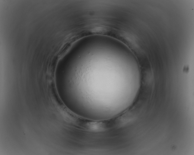 X0000092280273200709281251