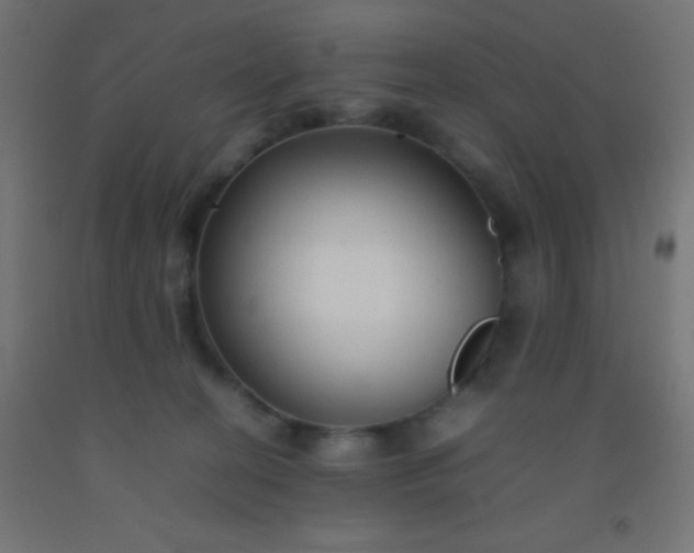 X0000092280274200709281252