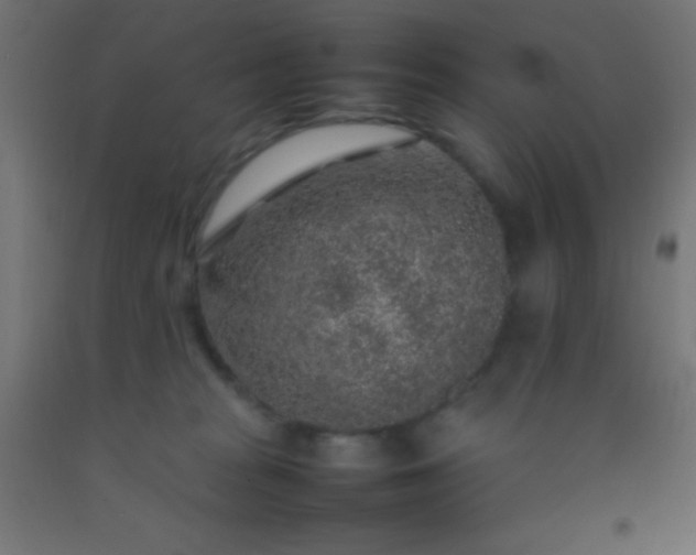 X0000092280277200709281252